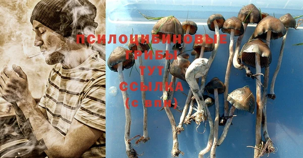бошки Богородицк