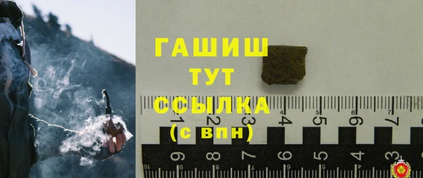 ECSTASY Белокуриха