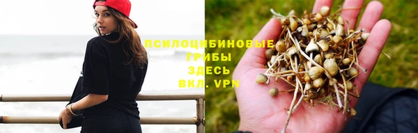 ECSTASY Белокуриха